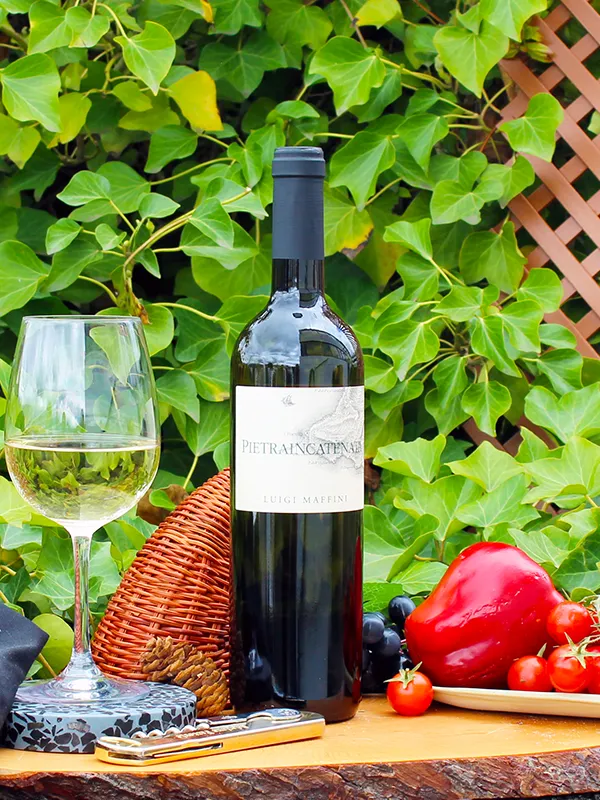 Cilento Fiano Pietraincatenata 2018 - Luigi Maffini