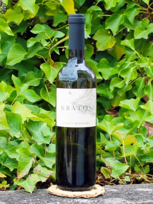 Cilento Fiano Kratos 2021 - Luigi Maffini