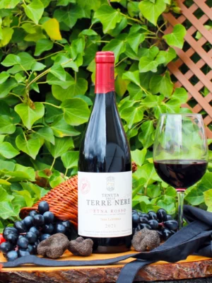 Etna Rosso San Lorenzo 2021 grand Cru - Tenuta Delle Terre Nere