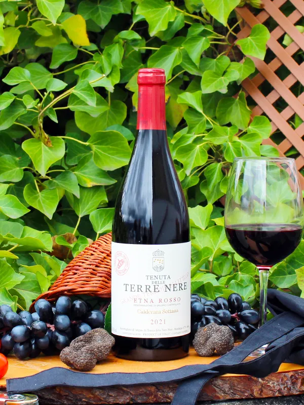 Etna Rosso Calderara Sottana 2021 grand Cru - Tenuta Delle Terre Nere