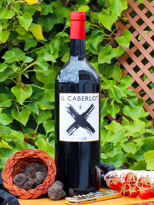 Toscana Caberlot 2019 Magnum - Podere Il Carnasciale