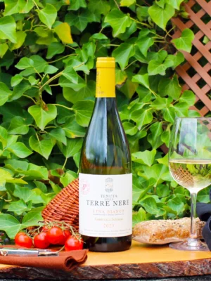 Etna Bianco Le vigne niche Calderara Sottana 2023 - Tenuta Delle Terre Nere