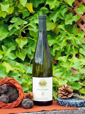 Alto Adige Pinotgrigio 2023 - Kloster Neustift