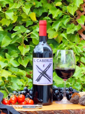 Toscana Carnasciale 2021 - Podere Il Carnasciale