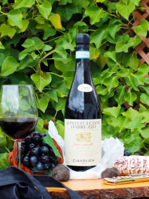 Montepulciano d’Abruzzo Fosso Cancelli 2019 - Ciavolich