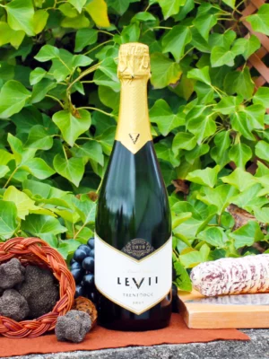 Trento Brut Millesimato 2020 (Blanc de Blanc) - LEVII