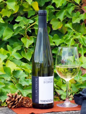 Colli di Luni Vermentino Fossa di Corsano 2023 - Terenzuola