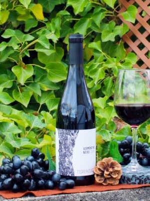 Toscana Vermentino Nero 2023 - Terenzuola