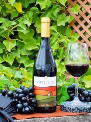 Puglia Ponteviro 2022 - Michele Biancardi