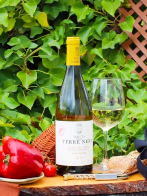 Etna Bianco Le vigne niche Santo Spirito 2023 - Tenuta Delle Terre Nere