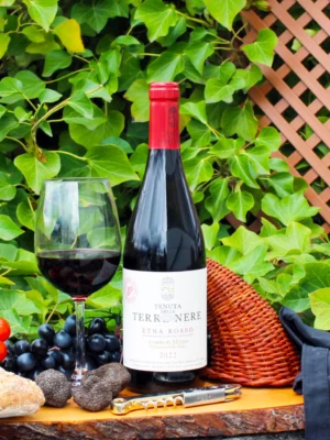 Etna Rosso Feudo di Mezzo 2022 Premier Cru - Tenuta Delle Terre Nere