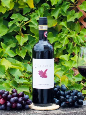 Chianti Classico 2020- Calcamura