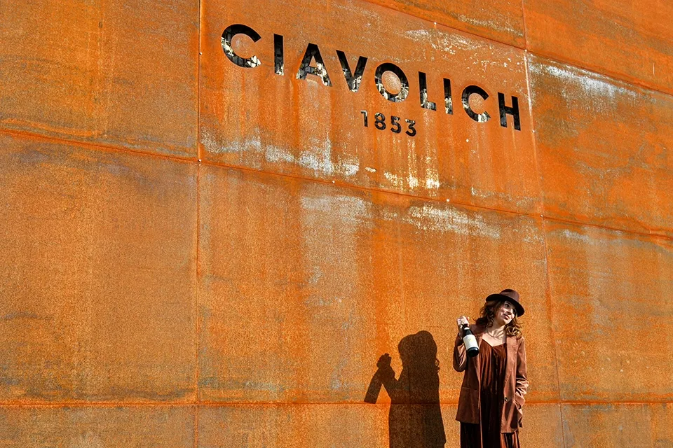 Image représentant la cave et l’histoire de Ciavolich