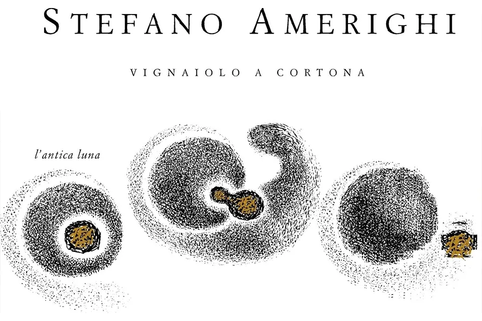 Image de mise en avant Stefano Amerighi