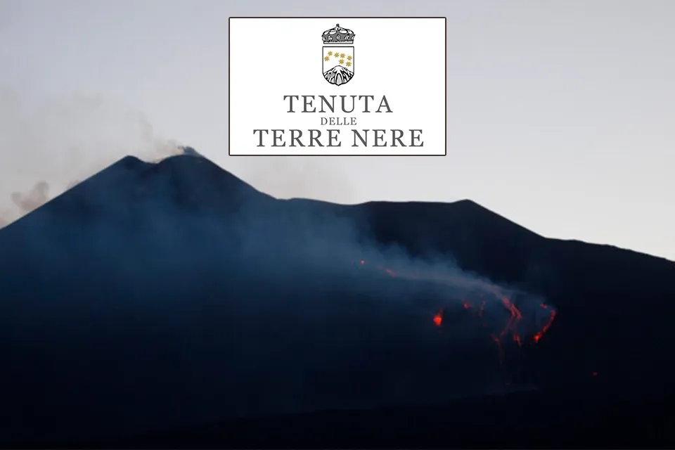 Image de mise en avant Tenuta delle Terre Nere