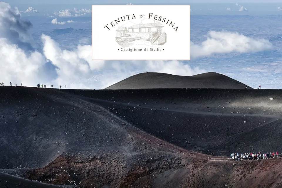 Logo de Tenuta Di Fessina sur un paysage volcanique
