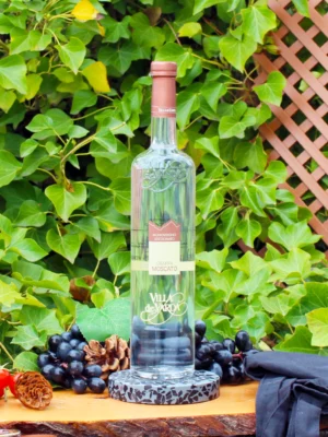 Grappa Giovane Moscato - Villa de Varda