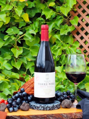 Etna Rosso DOC Prephylloxera 2022 Grand Cru - Tenuta Delle Terre Nere