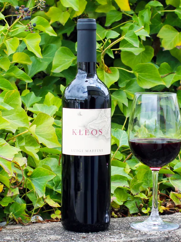 Cilento DOP Aglianico Kleos 2022 - Luigi Maffini