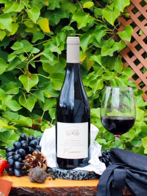 Etna Rosso DOC Musumeci Prephilloxera 2023 - Tenuta di Fessina