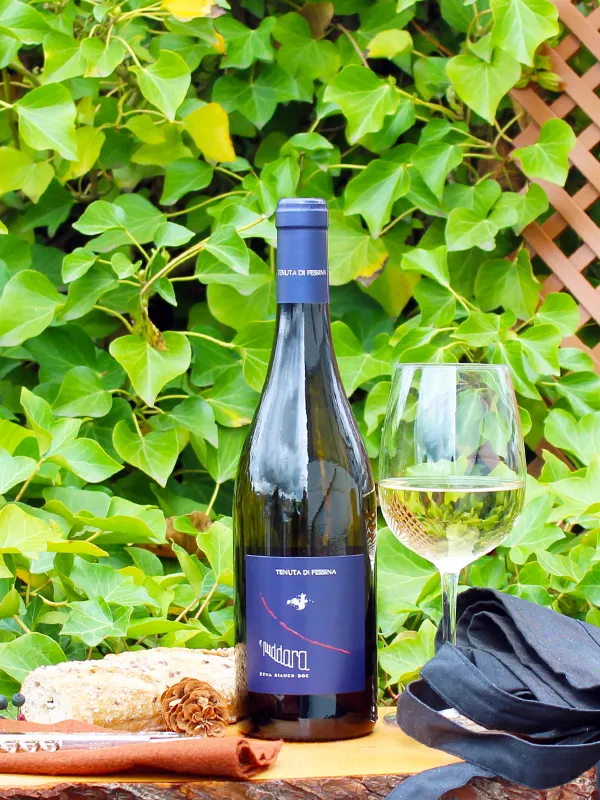 Etna Bianco DOC A Puddara 2023 - Tenuta di Fessina