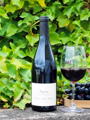 Bouteille de Sancerre Rouge AOC 2022 de Pascal et Nicolas Reverdy