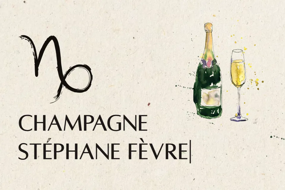 Logo Champagne Stéphane Fèvre