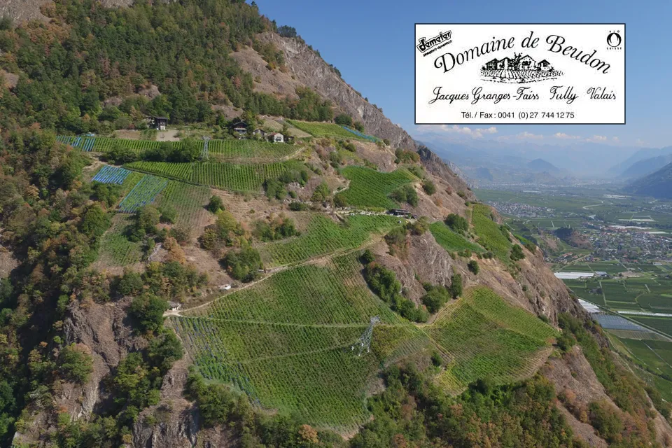 Illustration le Domaine de Beudon - Photo de Olivier Maire