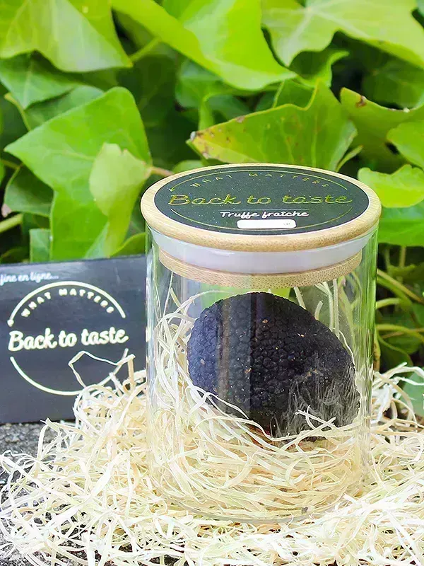 Truffe fraîche d'été - Origine Italie garantie