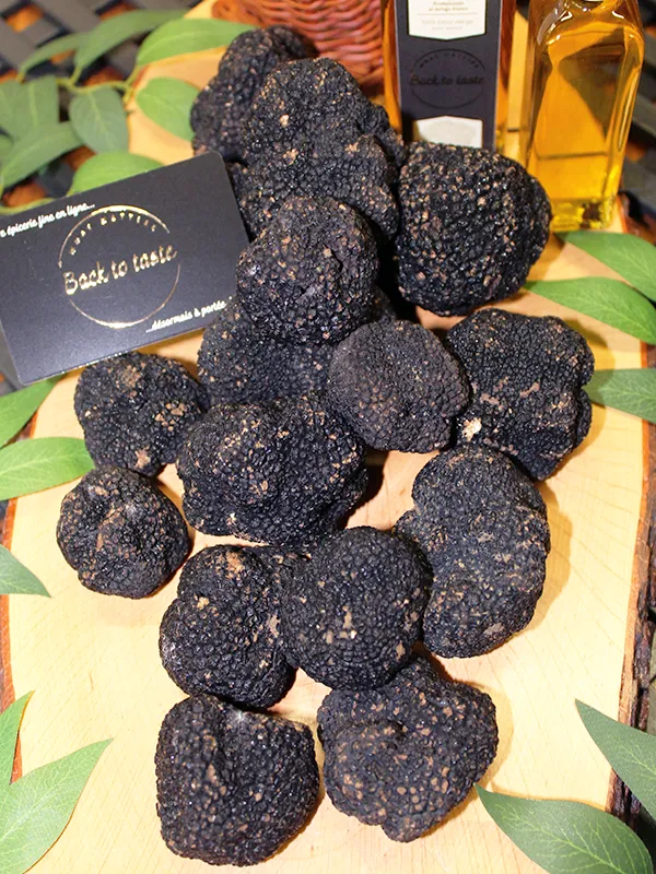 Photo truffes été origine italie