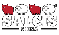 Logo Salcis